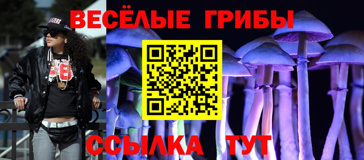Новокузнецк  как найти наркотики  Вход с VPN  Галлюциногенные грибы Cubensis 
