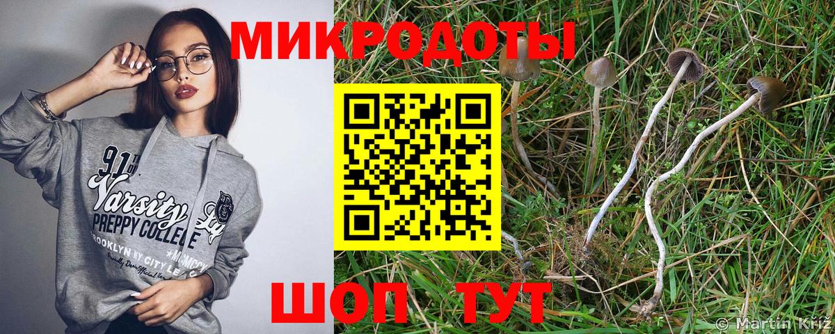 Псилоцибиновые грибы мухоморы Новокузнецк